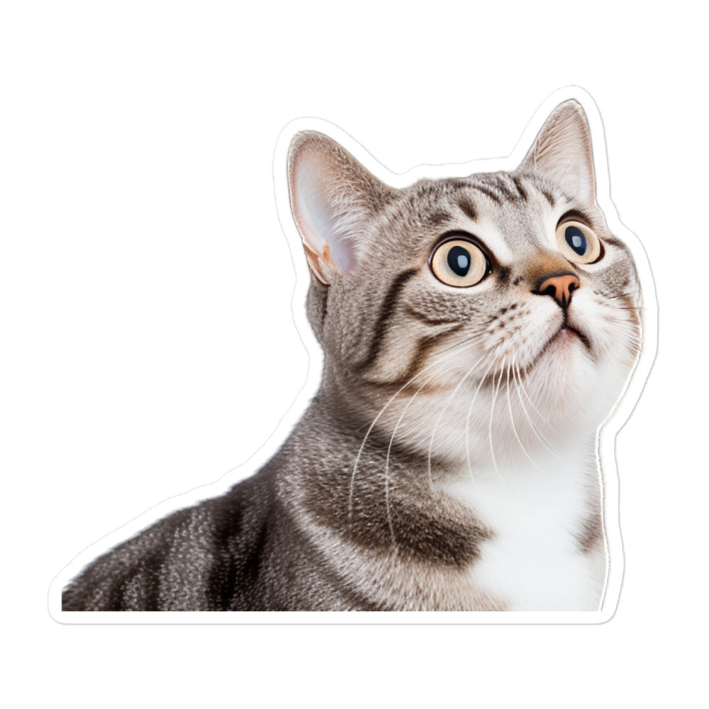 American Shorthair Sticker - Stickerfy.ai