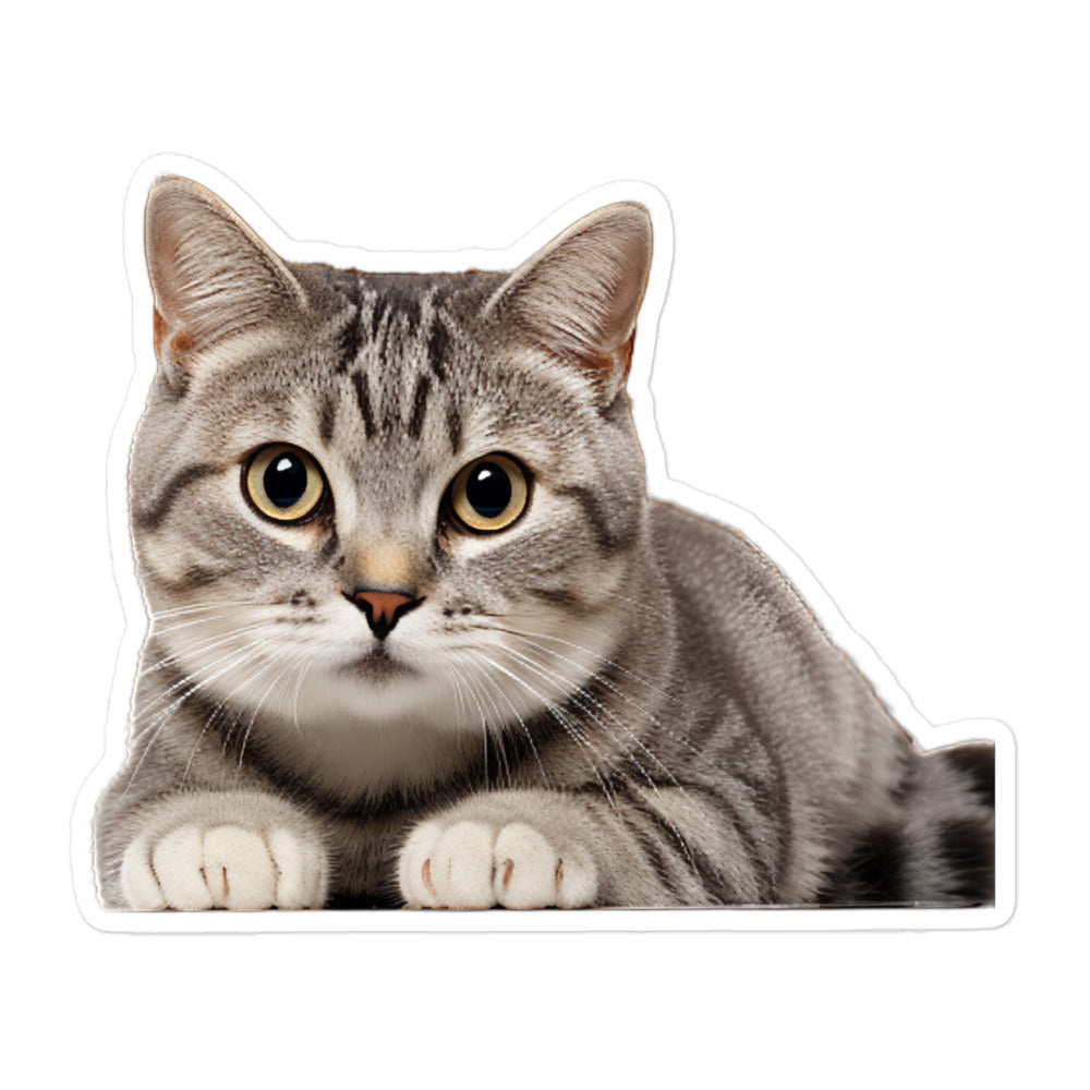 American Shorthair Sticker - Stickerfy.ai