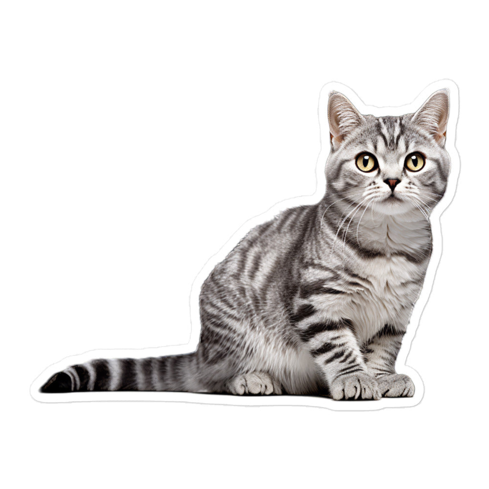 American Shorthair Sticker - Stickerfy.ai