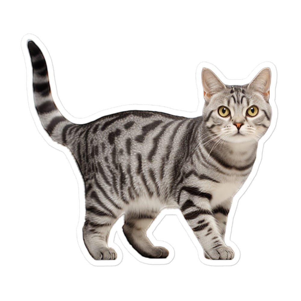 American Shorthair Sticker - Stickerfy.ai