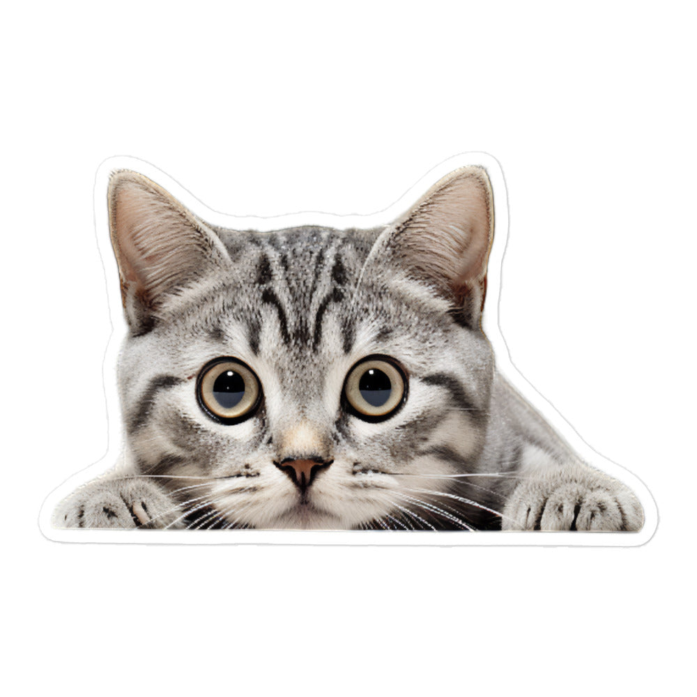 American Shorthair Sticker - Stickerfy.ai