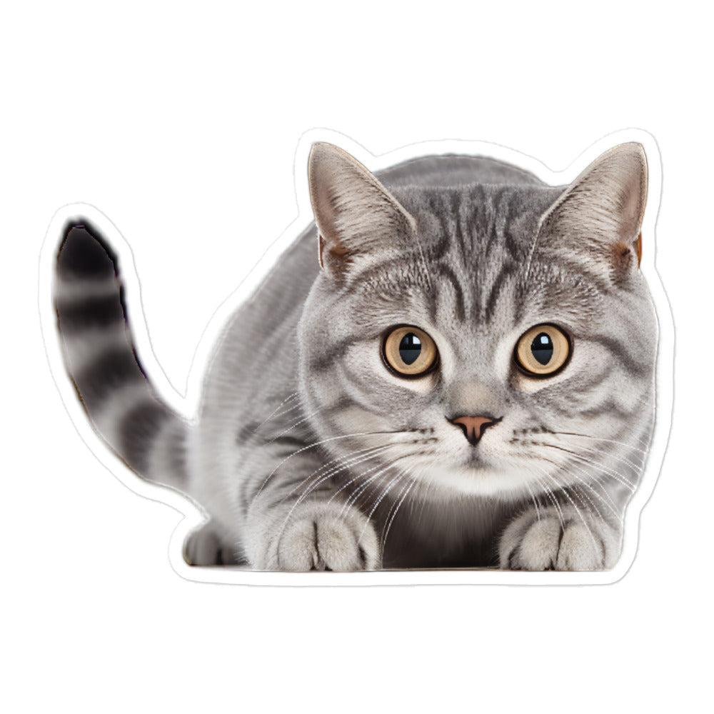 American Shorthair Sticker - Stickerfy.ai