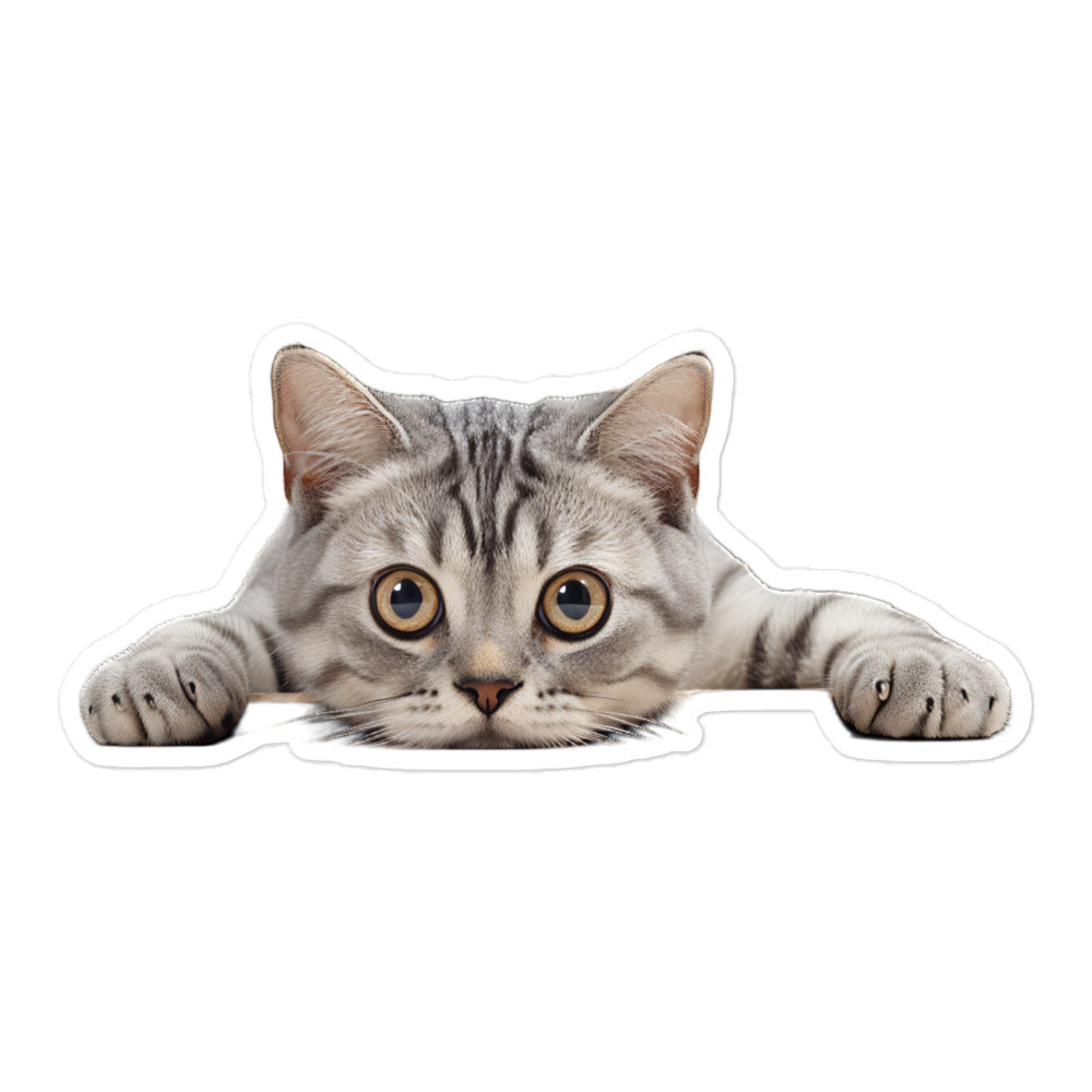 American Shorthair Sticker - Stickerfy.ai