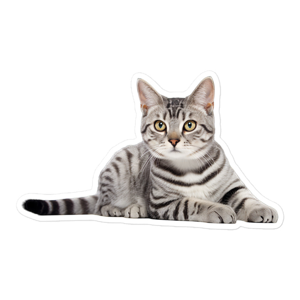 American Shorthair Sticker - Stickerfy.ai