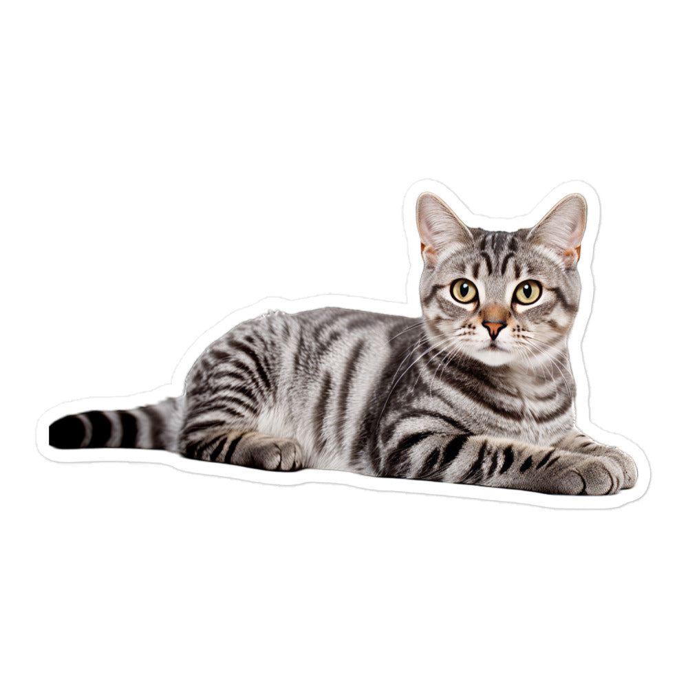 American Shorthair Sticker - Stickerfy.ai