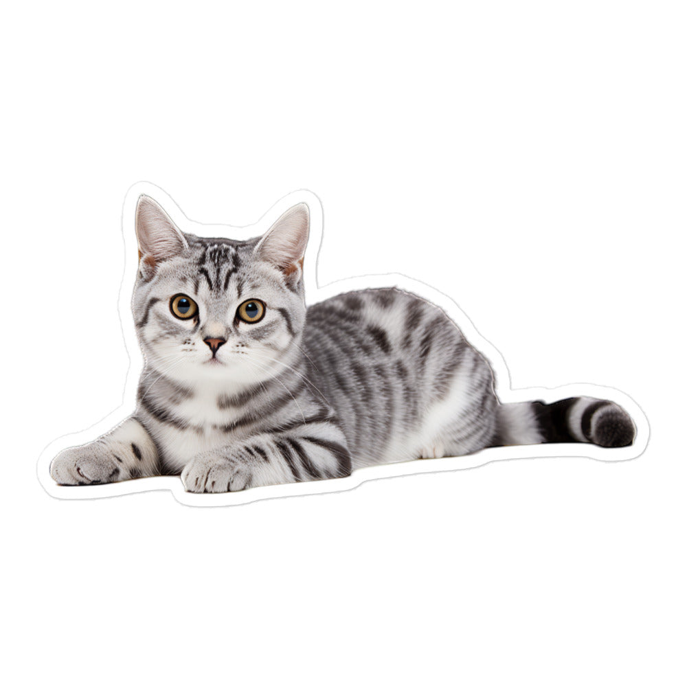 American Shorthair Sticker - Stickerfy.ai