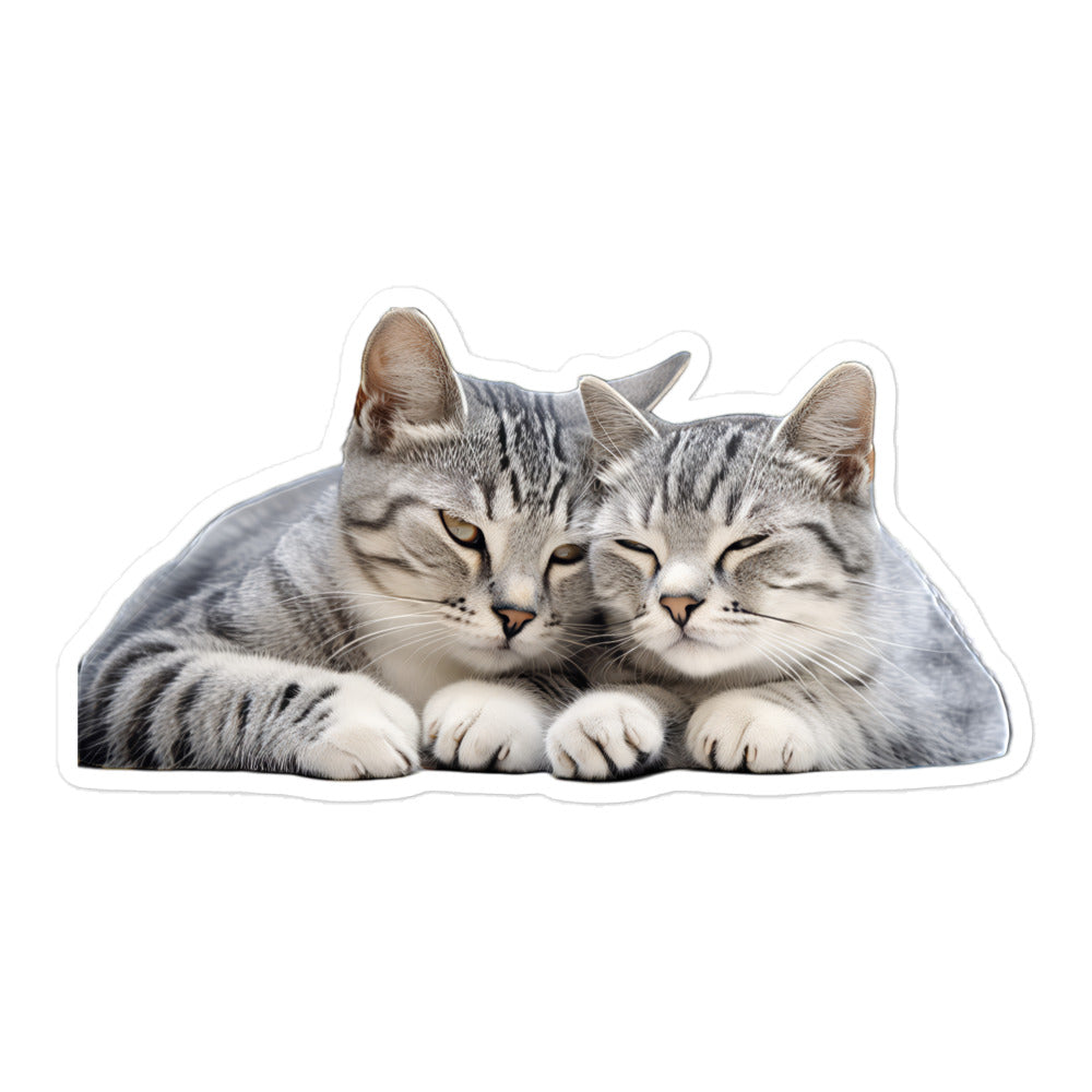 American Shorthair Sticker - Stickerfy.ai
