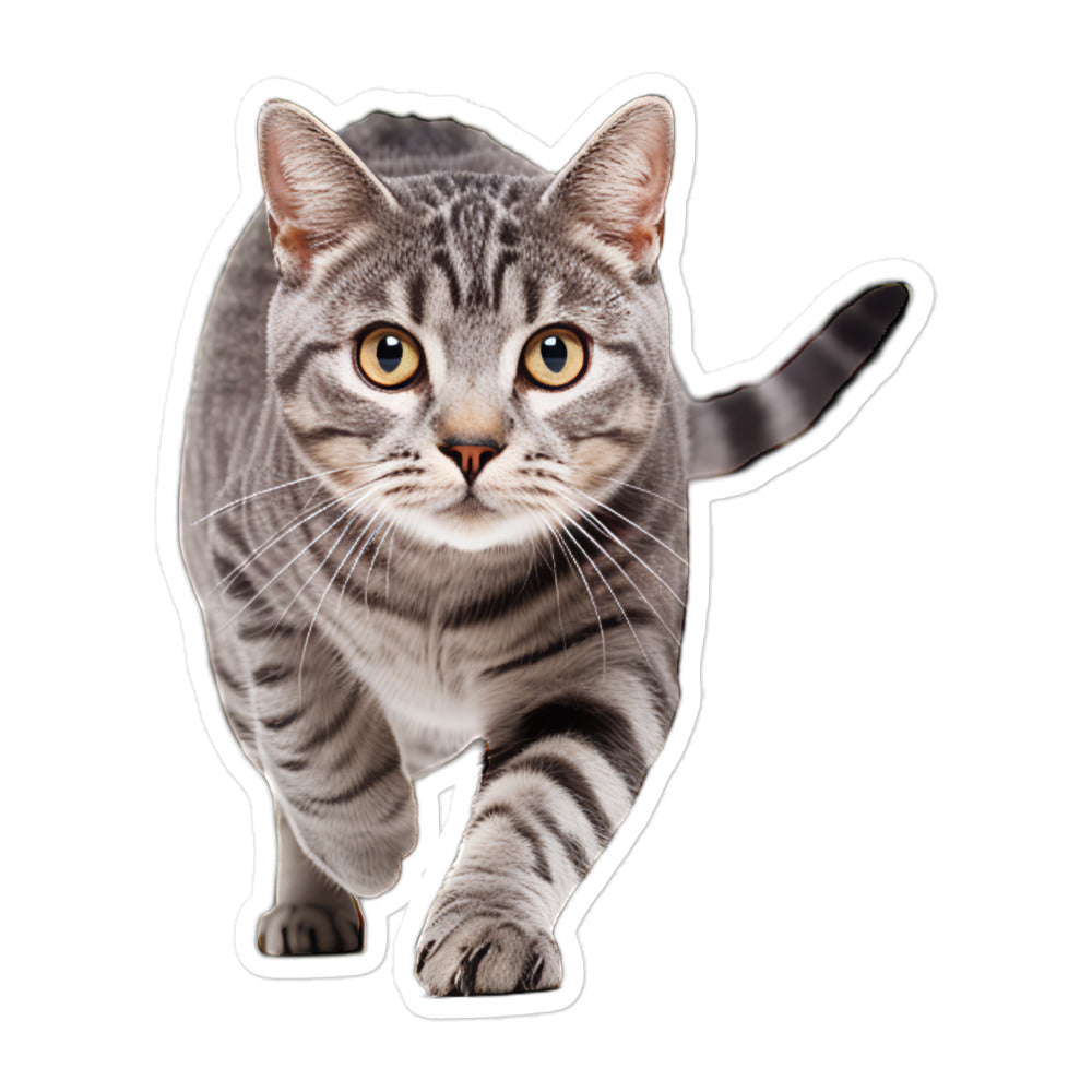 American Shorthair Sticker - Stickerfy.ai