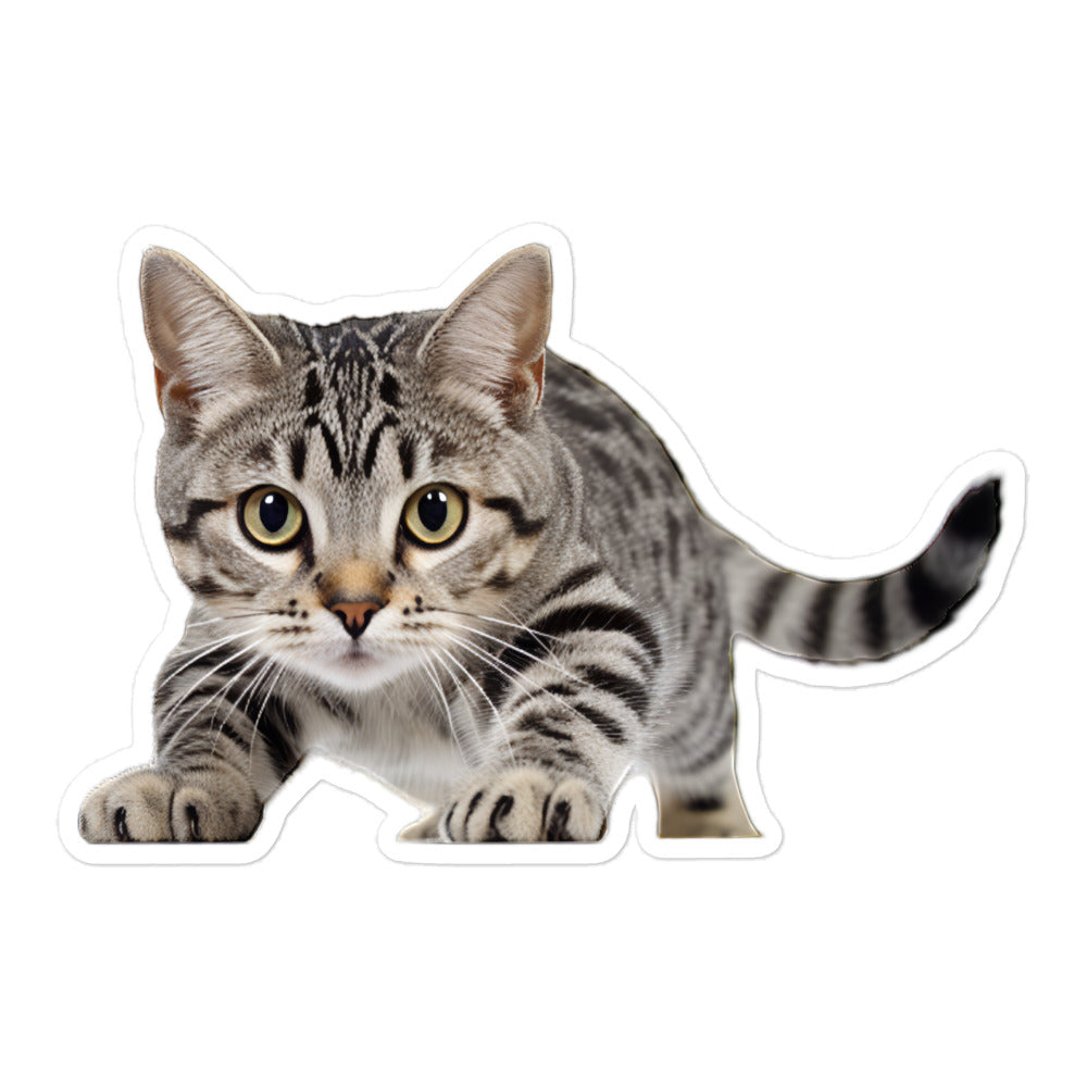 American Shorthair Sticker - Stickerfy.ai