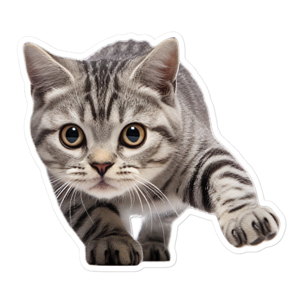 American Shorthair Sticker - Stickerfy.ai