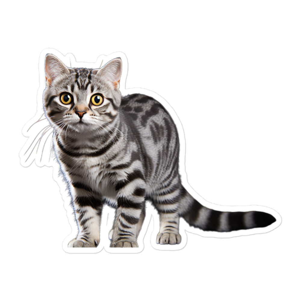American Shorthair Sticker - Stickerfy.ai