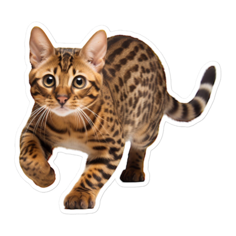 Bengal Sticker - Stickerfy.ai