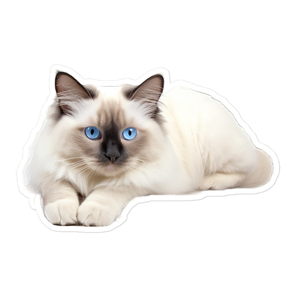 Birman Sticker - Stickerfy.ai