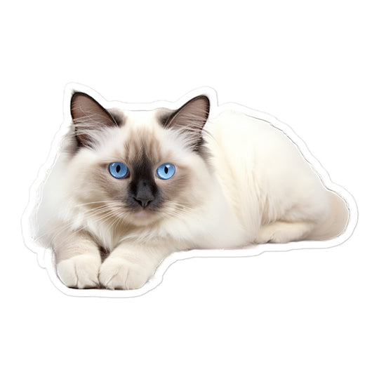 Birman Sticker - Stickerfy.ai