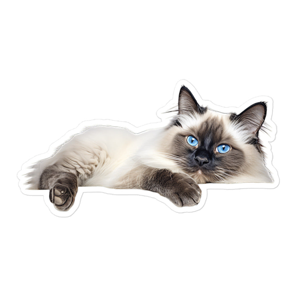 Birman Sticker - Stickerfy.ai