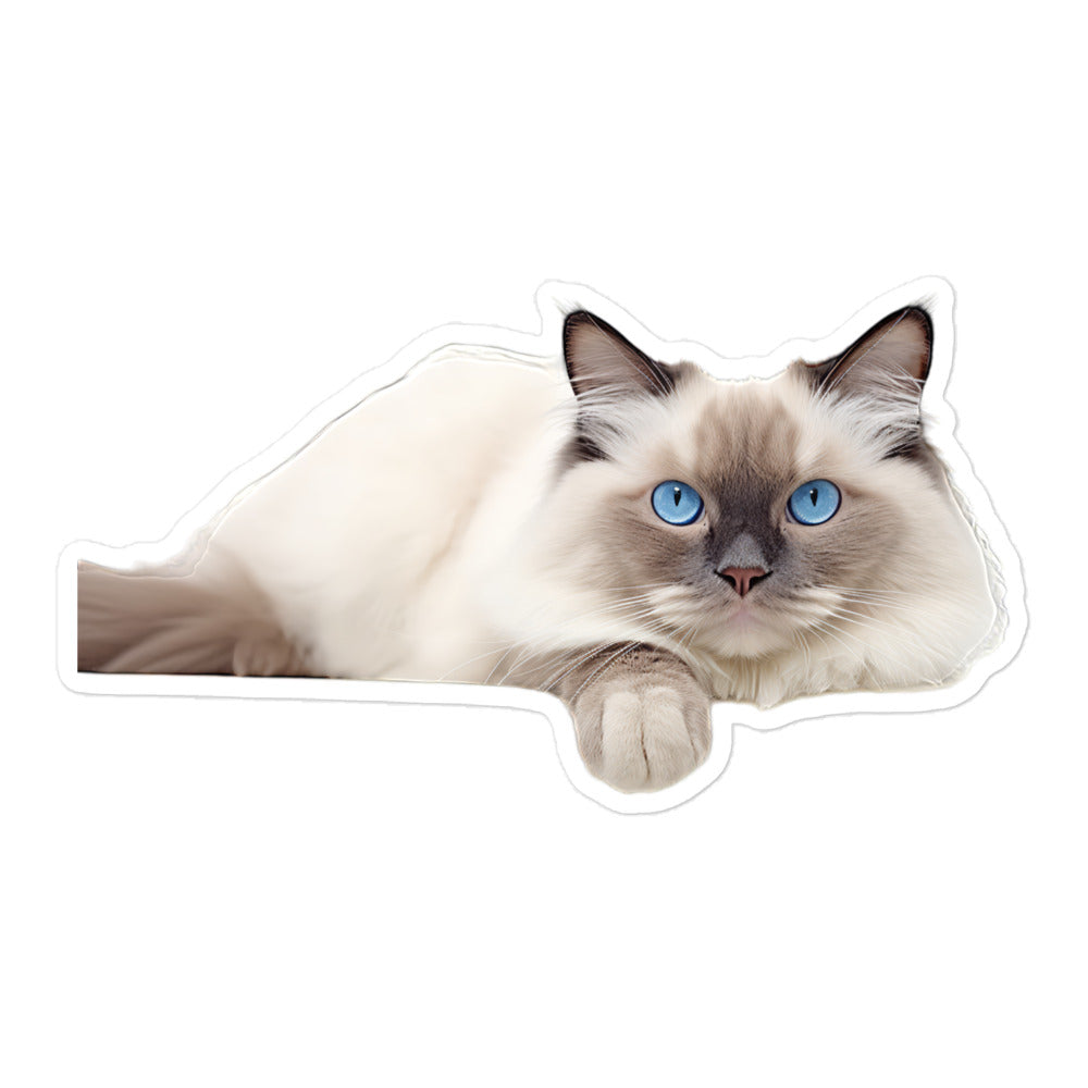 Birman Sticker - Stickerfy.ai
