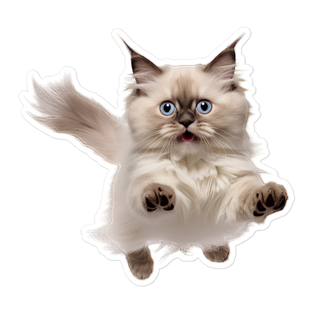 Birman Sticker - Stickerfy.ai