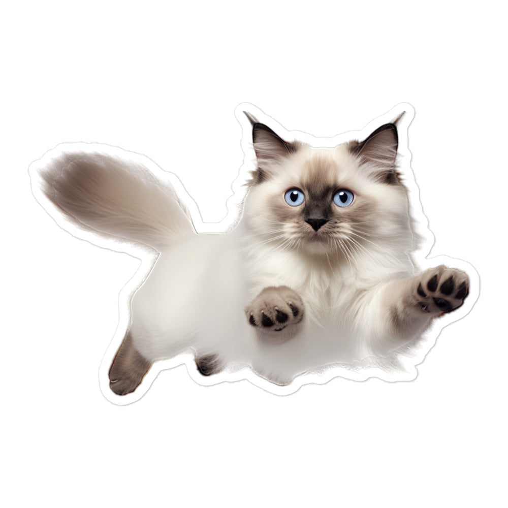 Birman Sticker - Stickerfy.ai