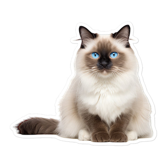 Birman Sticker - Stickerfy.ai