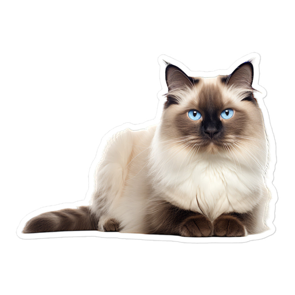 Birman Sticker - Stickerfy.ai