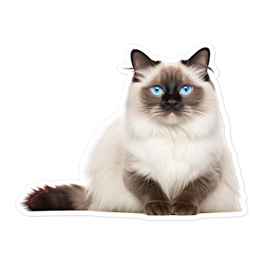 Birman Sticker - Stickerfy.ai