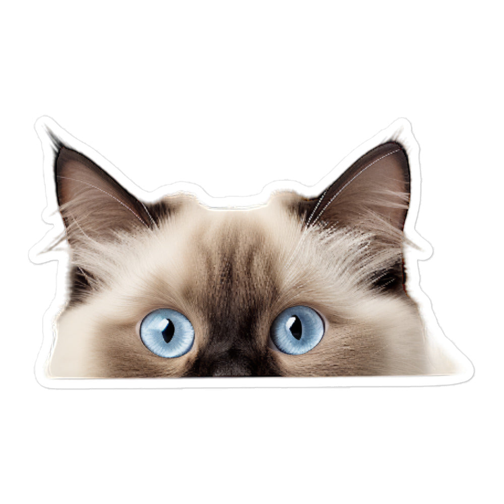 Birman Sticker - Stickerfy.ai