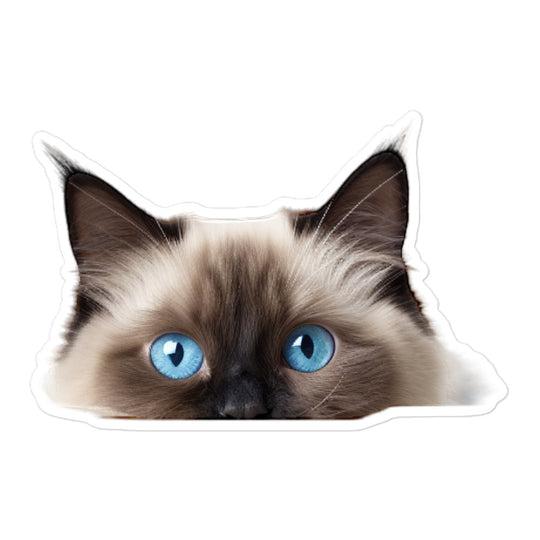 Birman Sticker - Stickerfy.ai