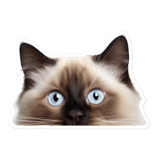 Birman Sticker - Stickerfy.ai