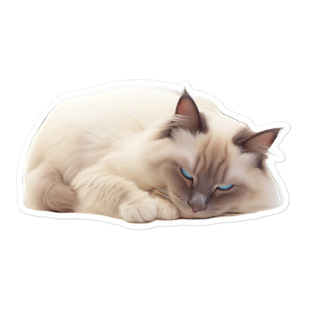 Birman Sticker - Stickerfy.ai
