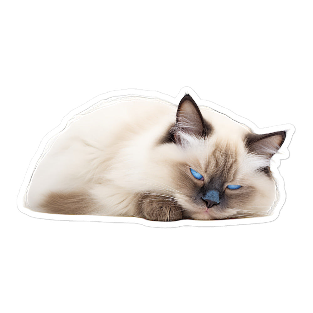 Birman Sticker - Stickerfy.ai