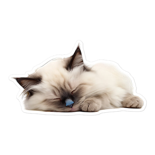 Birman Sticker - Stickerfy.ai