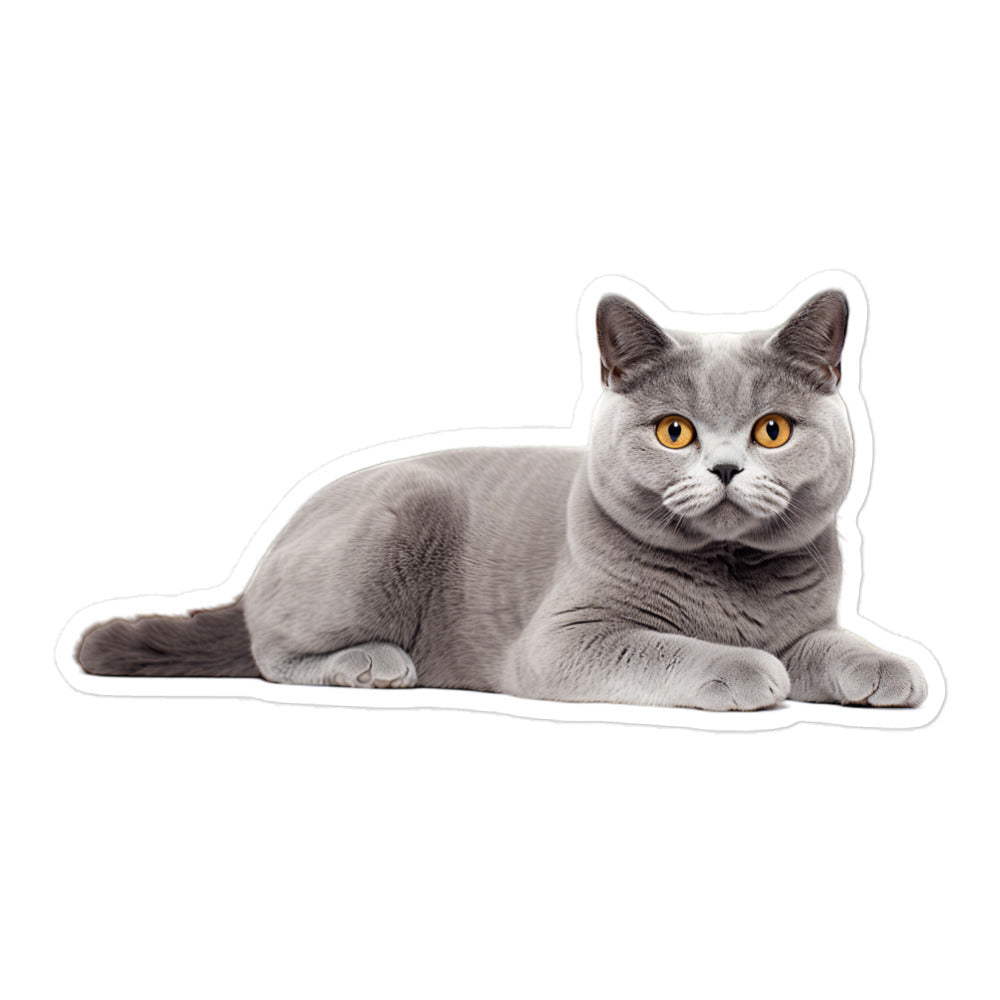 British Shorthair Sticker - Stickerfy.ai