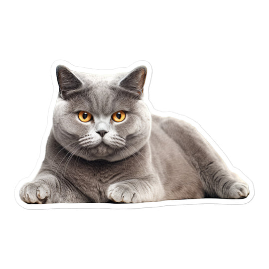 British Shorthair Sticker - Stickerfy.ai