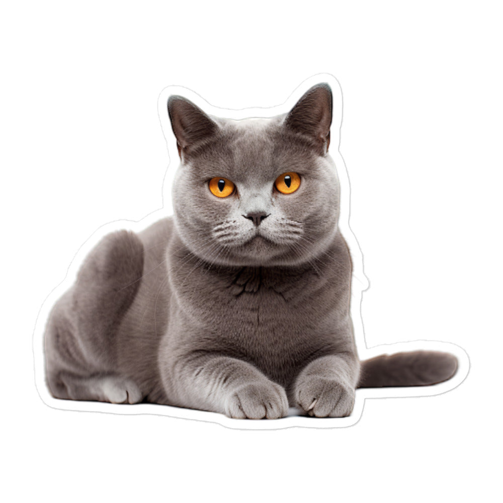 British Shorthair Sticker - Stickerfy.ai