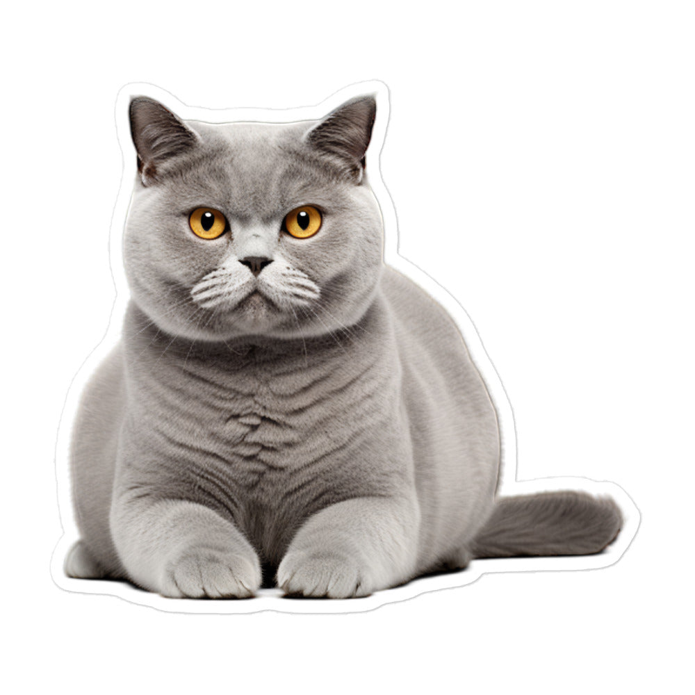 British Shorthair Sticker - Stickerfy.ai