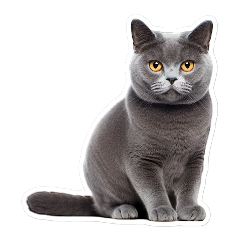 British Shorthair Sticker - Stickerfy.ai