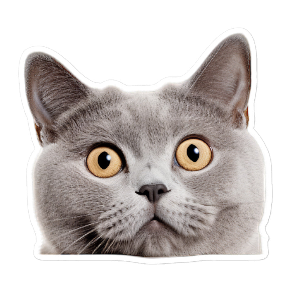 British Shorthair Sticker - Stickerfy.ai