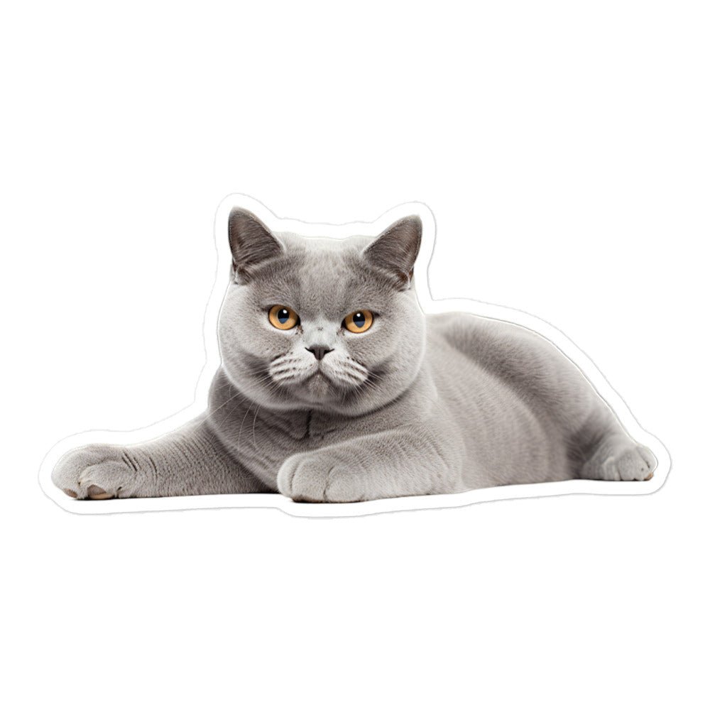 British Shorthair Sticker - Stickerfy.ai