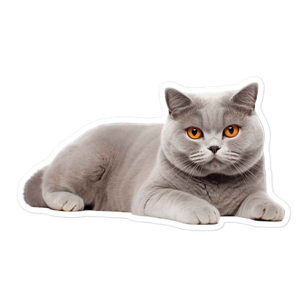 British Shorthair Sticker - Stickerfy.ai