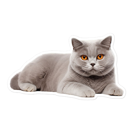 British Shorthair Sticker - Stickerfy.ai