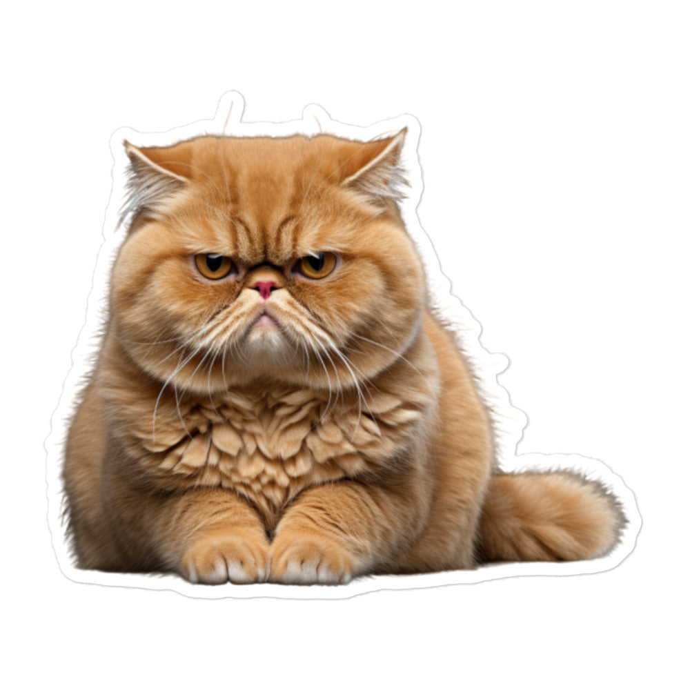 Exotic Shorthair Sticker - Stickerfy.ai