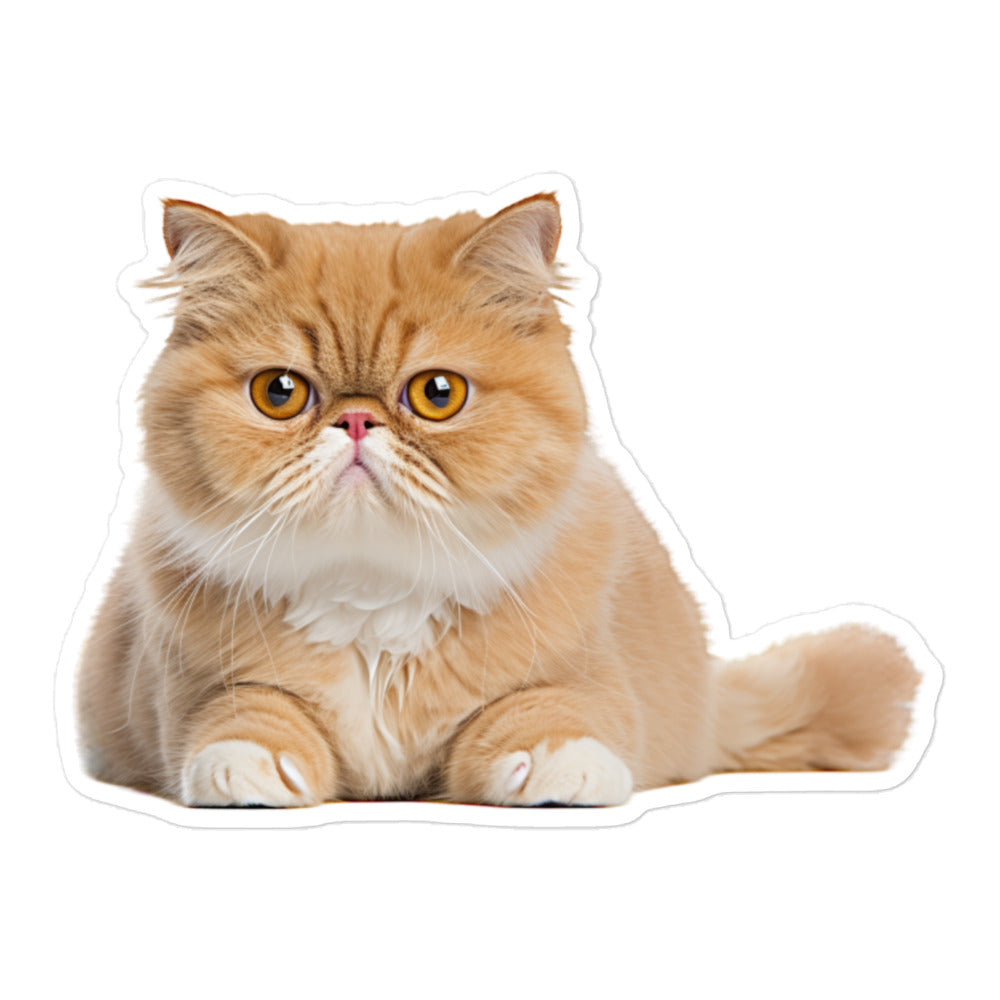 Exotic Shorthair Sticker - Stickerfy.ai