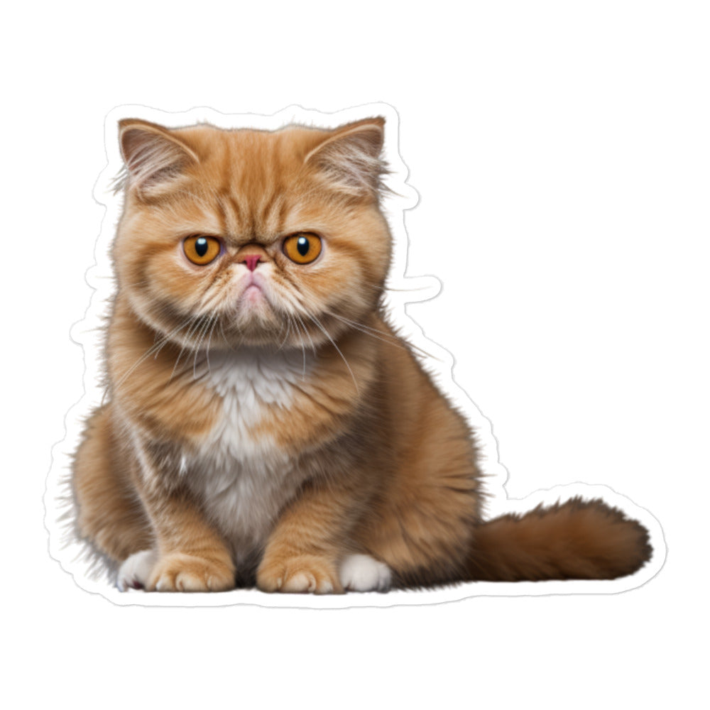 Exotic Shorthair Sticker - Stickerfy.ai