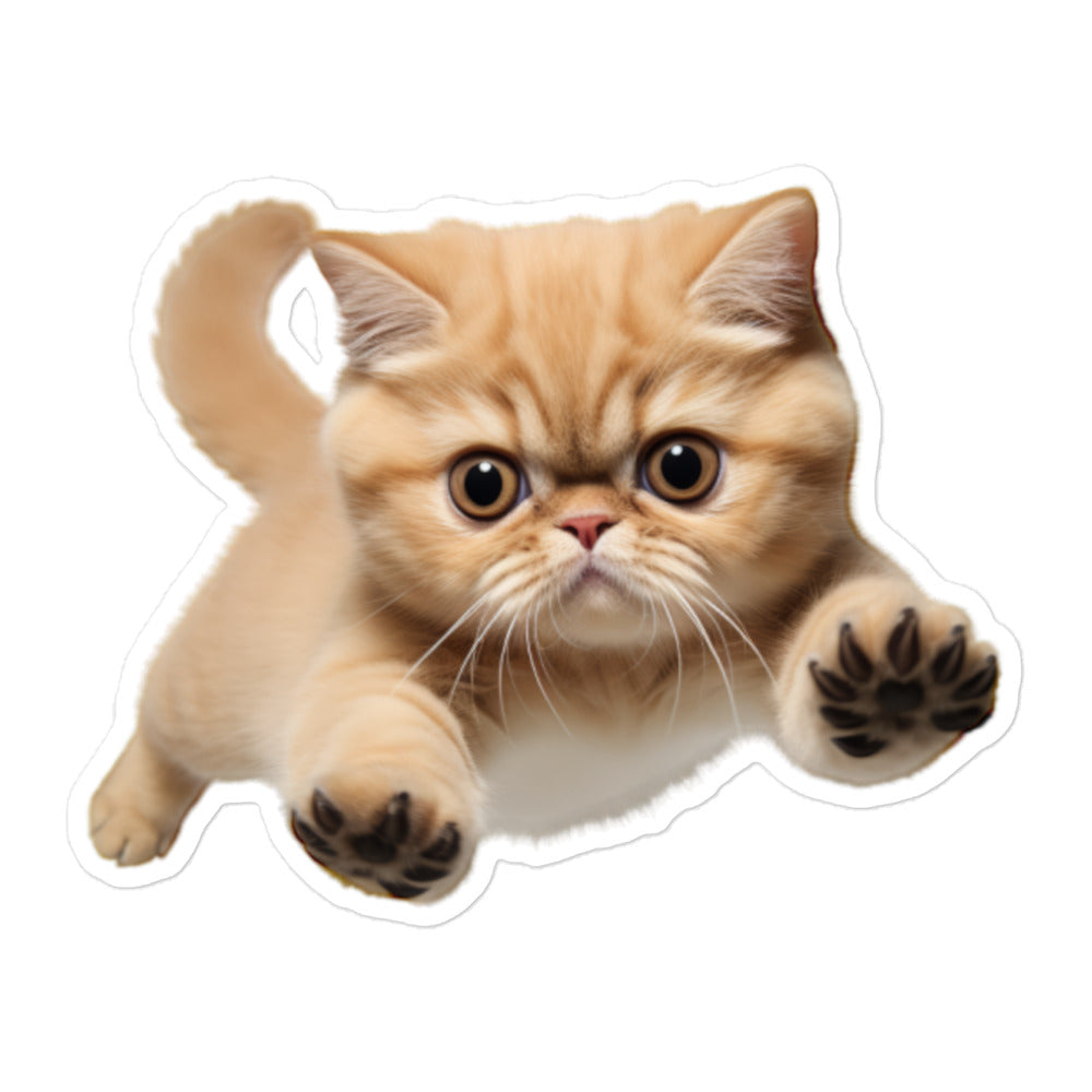 Exotic Shorthair Sticker - Stickerfy.ai