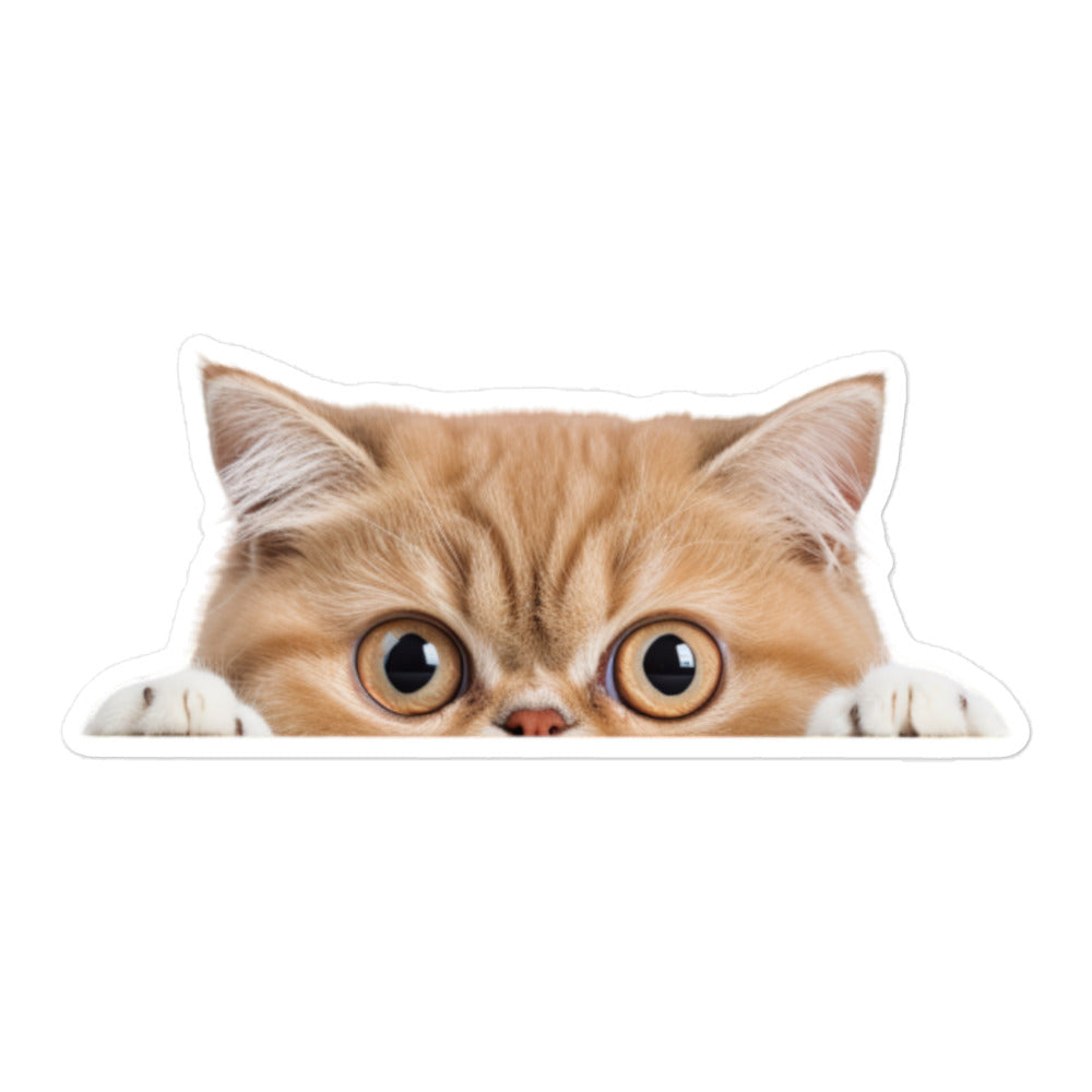 Exotic Shorthair Sticker - Stickerfy.ai