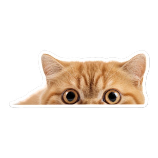 Exotic Shorthair Sticker - Stickerfy.ai