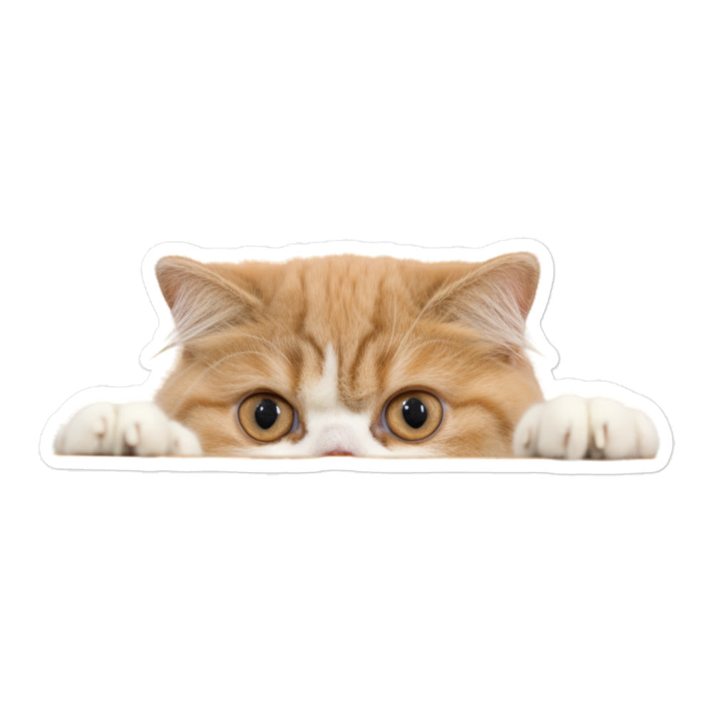 Exotic Shorthair Sticker - Stickerfy.ai