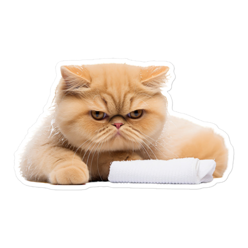 Exotic Shorthair Sticker - Stickerfy.ai