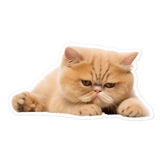 Exotic Shorthair Sticker - Stickerfy.ai