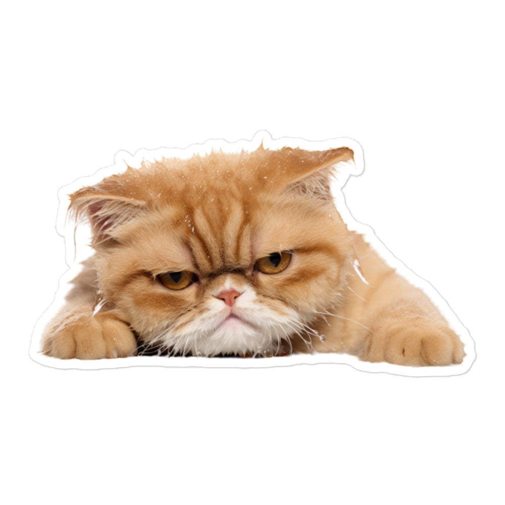 Exotic Shorthair Sticker - Stickerfy.ai